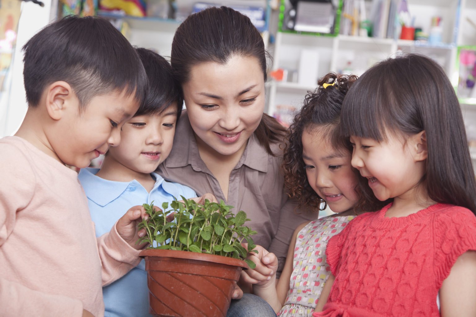 Home Page Mandarin Preschool
